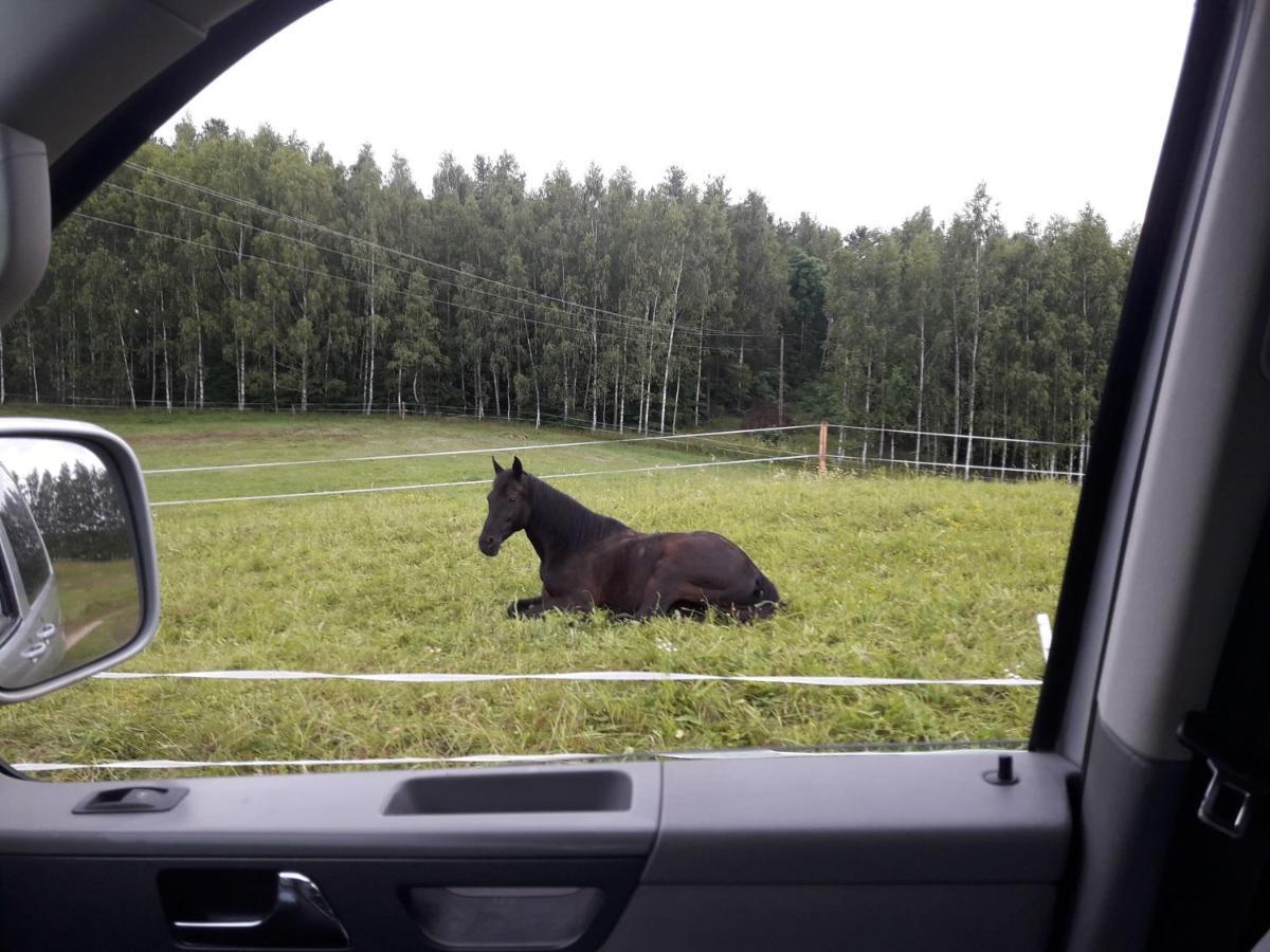 Apartamenty Lubiewo Mikołajki エクステリア 写真